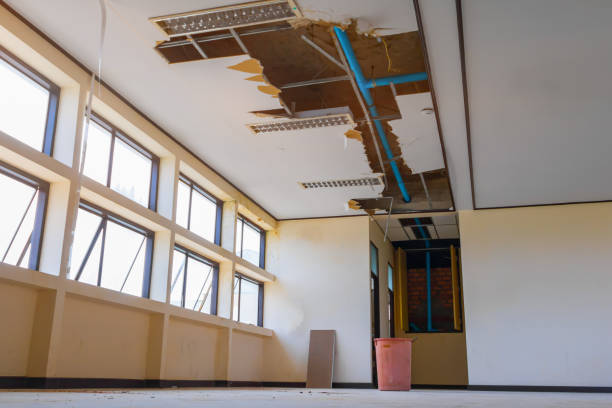 Best Ceiling water damage repair  in Cleves, OH