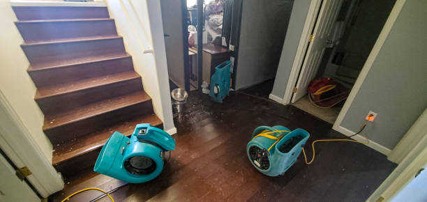 Professional Water damage restoration in Cleves, OH