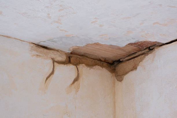 Water damage restoration mold remediation in Cleves, OH