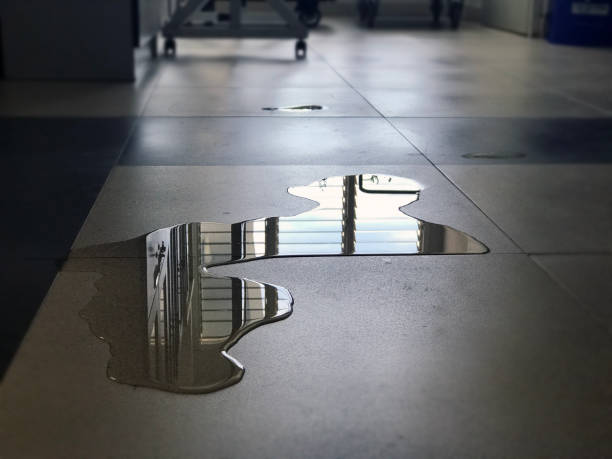 Best Water damage restoration services  in Cleves, OH