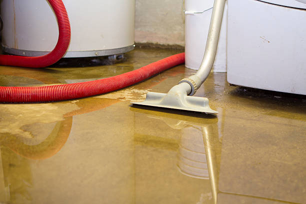 Best 24-hour water damage restoration  in Cleves, OH
