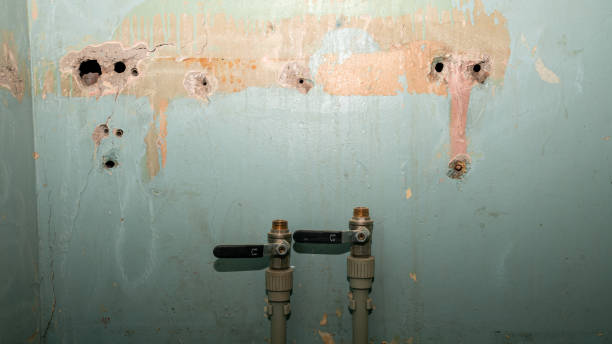 Best Professional water damage repair  in Cleves, OH