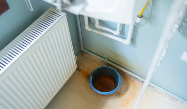 Best Flood restoration services  in Cleves, OH