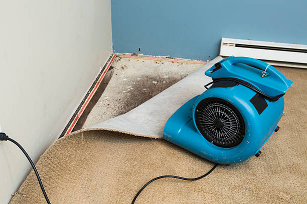 Best Water damage restoration near me  in Cleves, OH